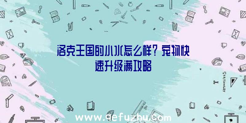 洛克王国的小水怎么样？